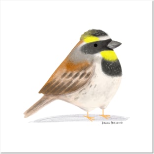 Yellow Throated Bunting Bird Posters and Art